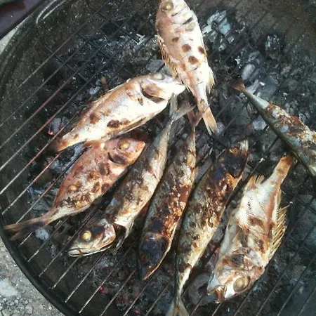 Paradiso 아파트 *