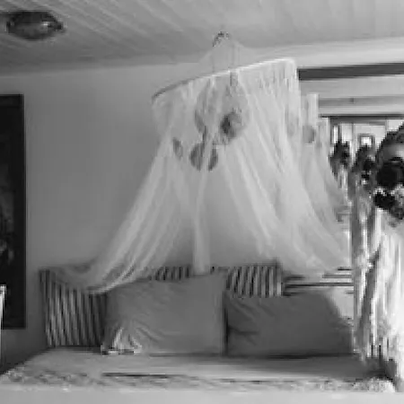 아파트 Paradiso 플라카